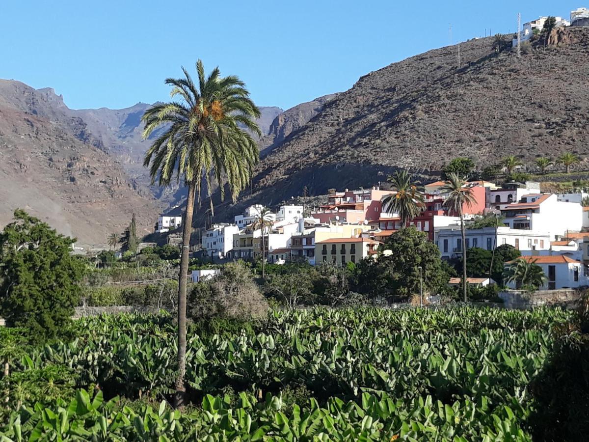 Los Olivos Playa de Santiago  Exteriér fotografie