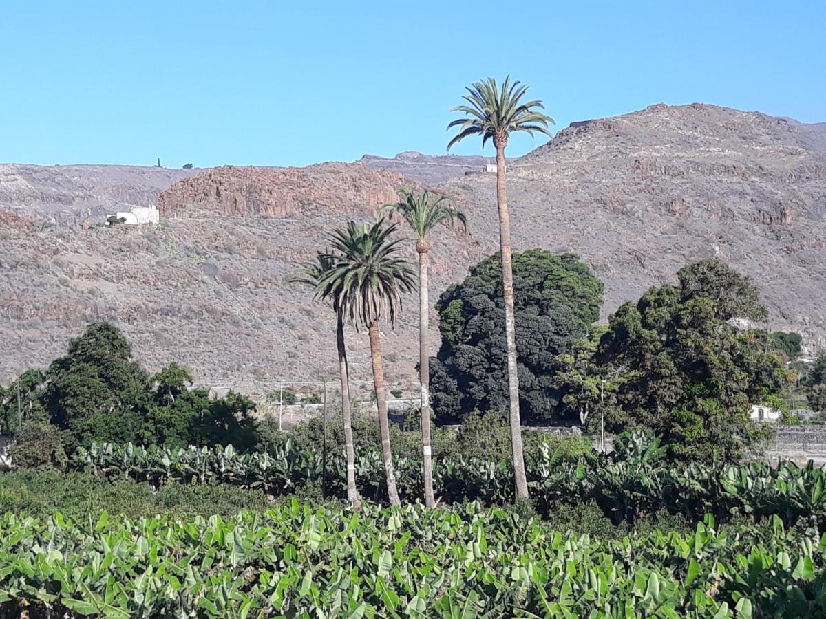 Los Olivos Playa de Santiago  Exteriér fotografie