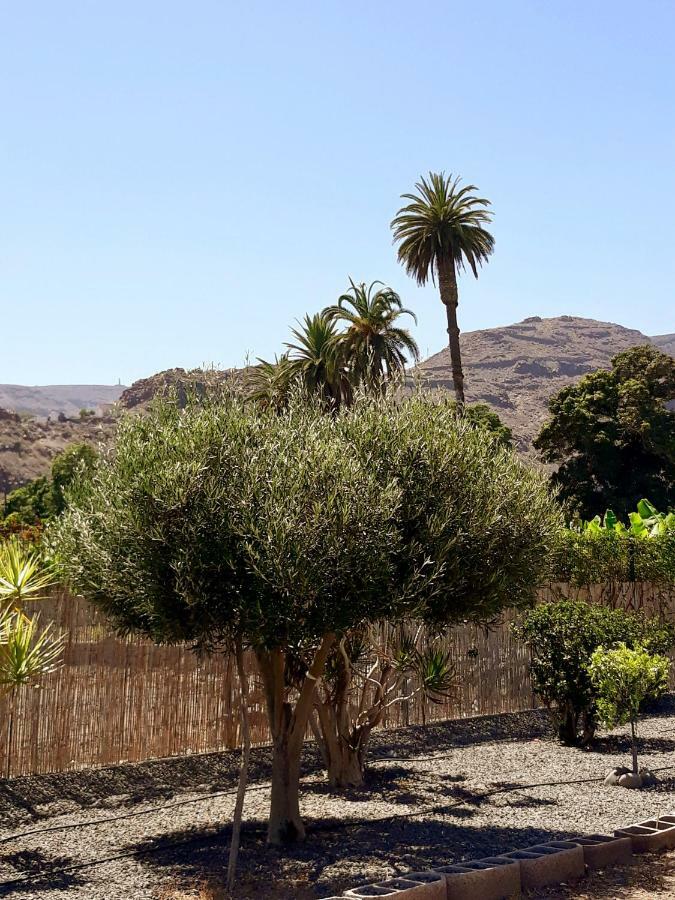 Los Olivos Playa de Santiago  Exteriér fotografie